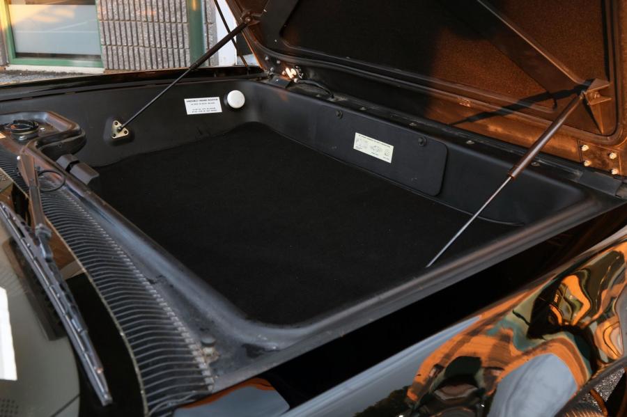 Багажник DeLorean DMC-12 in Black 1981 года  (фото 153 из 207)